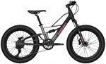 Xe đạp trẻ em NISHIKI MACHI 20